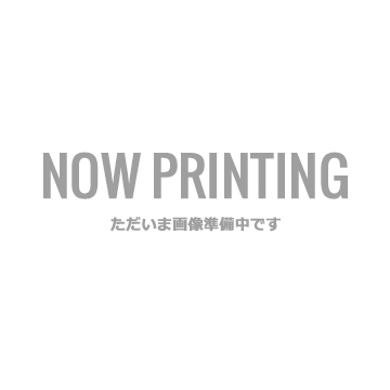 細貝圭 Dear Memory～消えた記憶と嘘 特典グッズ セット 細貝圭 Dear Memory～消えた記憶と嘘 特典グッズ セット その他